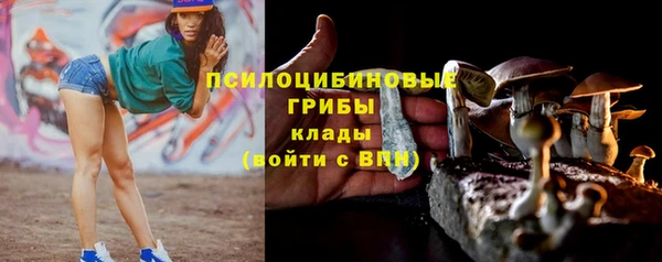 синтетический гашиш Верхний Тагил