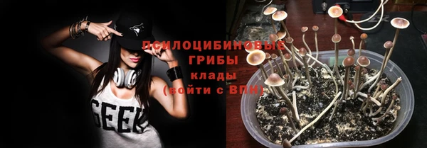 таблы Верея