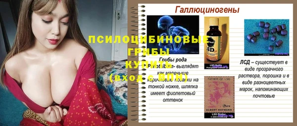 ГАЛЛЮЦИНОГЕННЫЕ ГРИБЫ Володарск