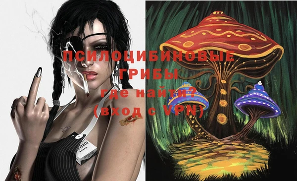 таблы Верея